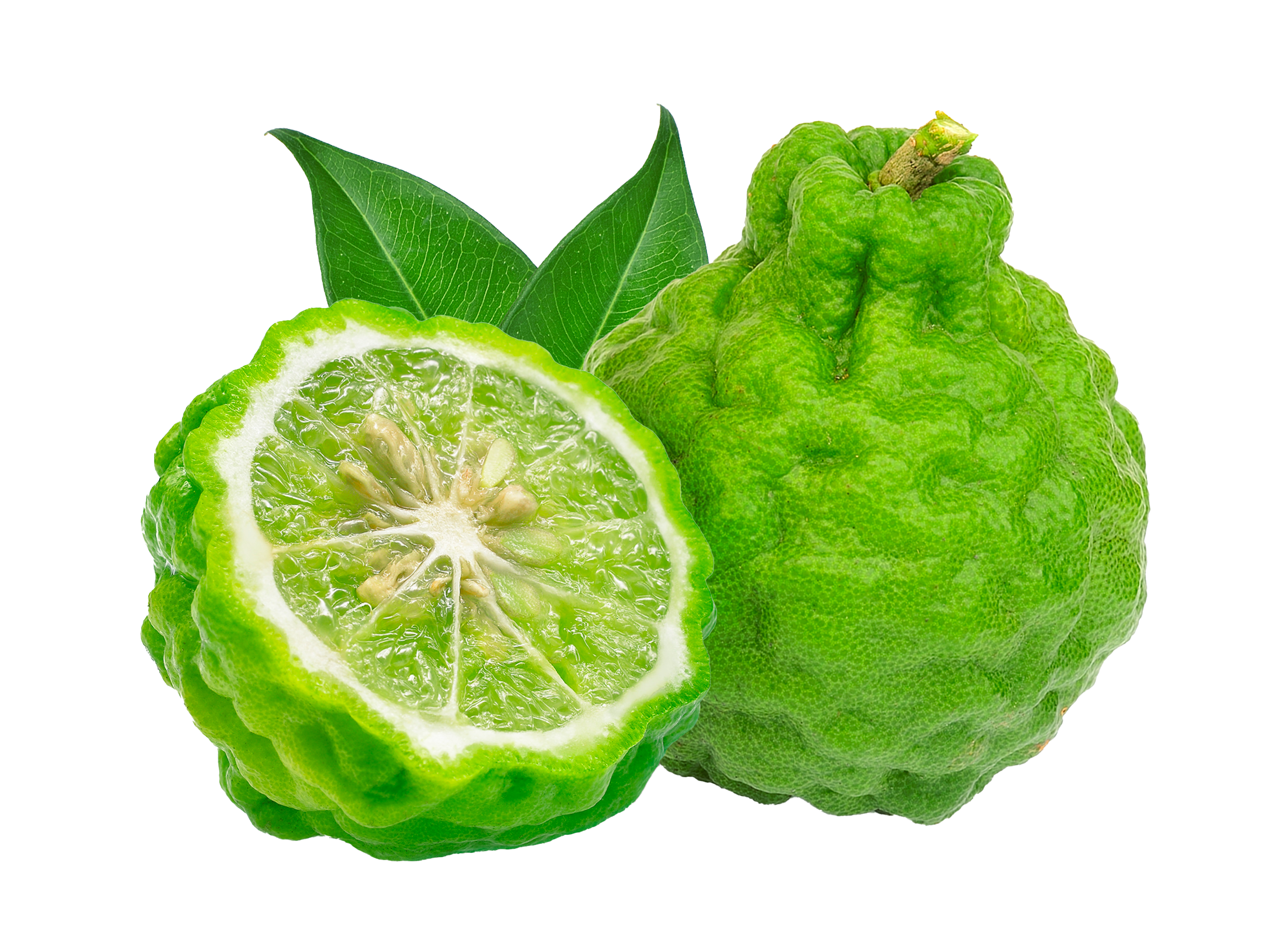 bergamote