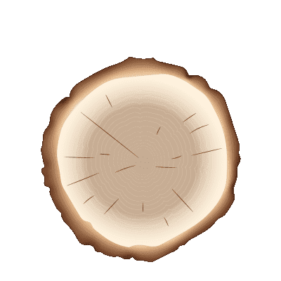 illustration de boisée