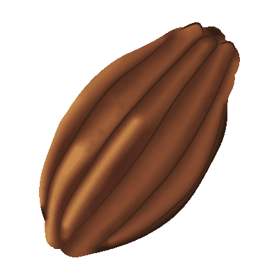 Illustration chocolat noir - Plaine d'Arômes