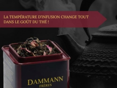 La température d’infusion change tout dans le goût du thé !