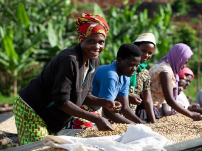 Cafés du monde : honorer ceux qui les cultivent